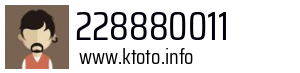 228880011
