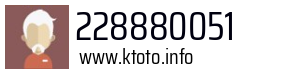 228880051