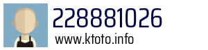 228881026