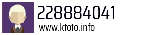 228884041