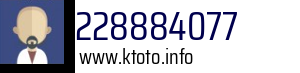 228884077