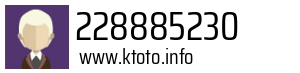 228885230