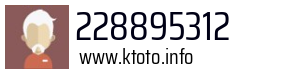 228895312