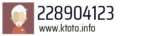 228904123
