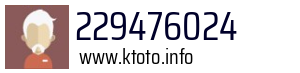 229476024