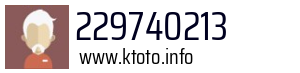 229740213