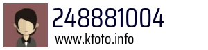 248881004