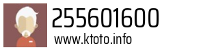 255601600
