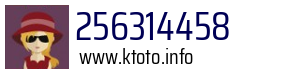 256314458