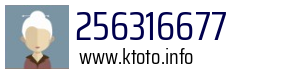 256316677