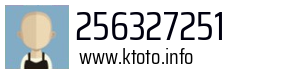 256327251
