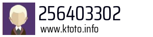 256403302