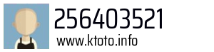 256403521