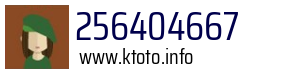 256404667