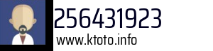 256431923