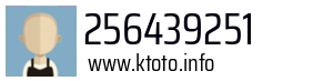 256439251