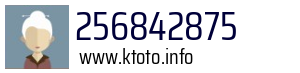 256842875