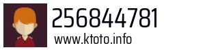 256844781