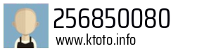 256850080