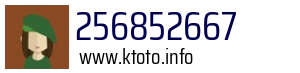 256852667