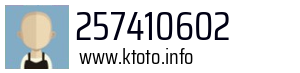 257410602