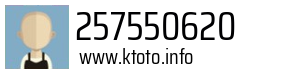 257550620
