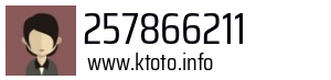 257866211