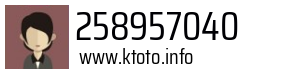 258957040
