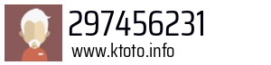 297456231
