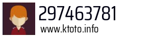 297463781