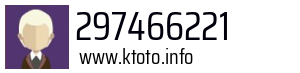 297466221