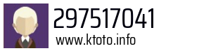 297517041