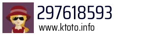 297618593