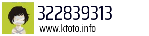 322839313