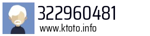 322960481