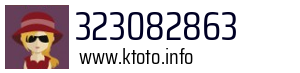 323082863