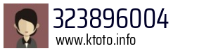 323896004