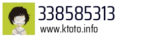 338585313