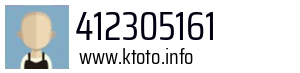 412305161