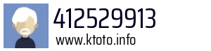 412529913