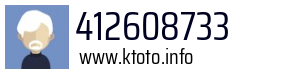 412608733