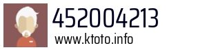 452004213