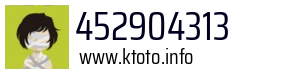 452904313