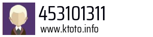 453101311