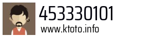 453330101