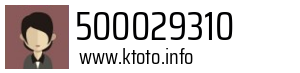 500029310