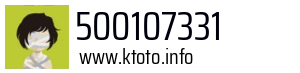 500107331