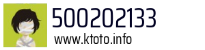 500202133