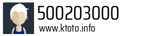 500203000