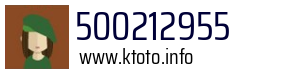 500212955